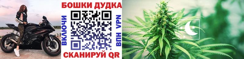 Купить закладки  Чернушка  Бошки марихуана THC 21% 